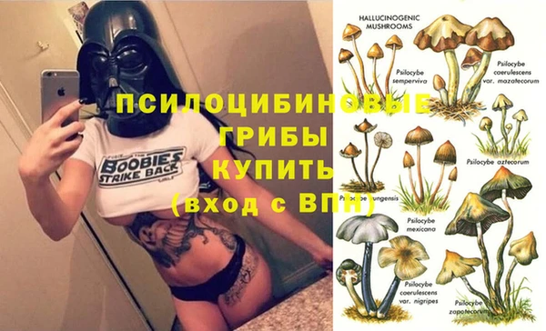 альфа пвп Баксан