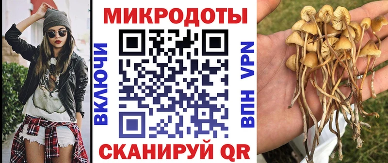 даркнет сайт  Афипский  Псилоцибиновые грибы мицелий 